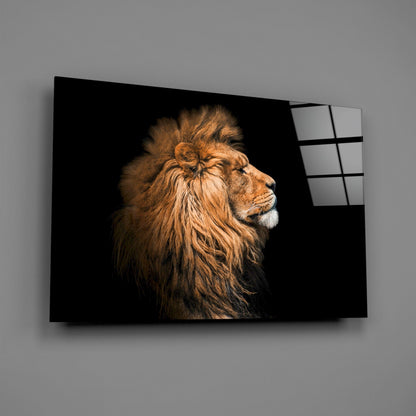 African Lion Glass Wall Art