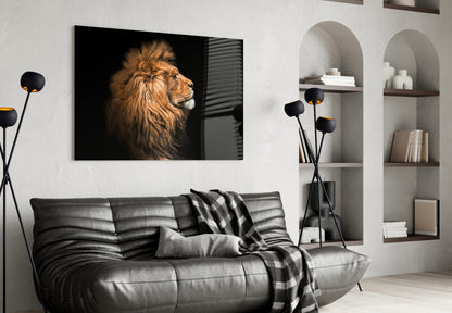 African Lion Glass Wall Art