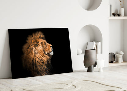 African Lion Glass Wall Art