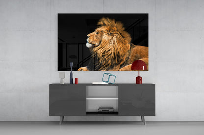 Resting Lion Glass Wall Art
