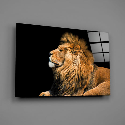 Resting Lion Glass Wall Art