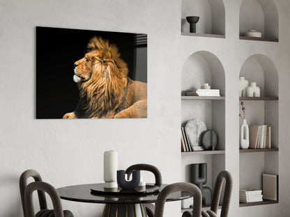 Resting Lion Glass Wall Art