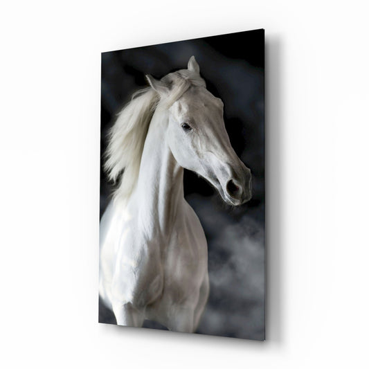 White horse with a long flowing mane turning its head, soft smoke drifting on a charcoal background, glass print on white