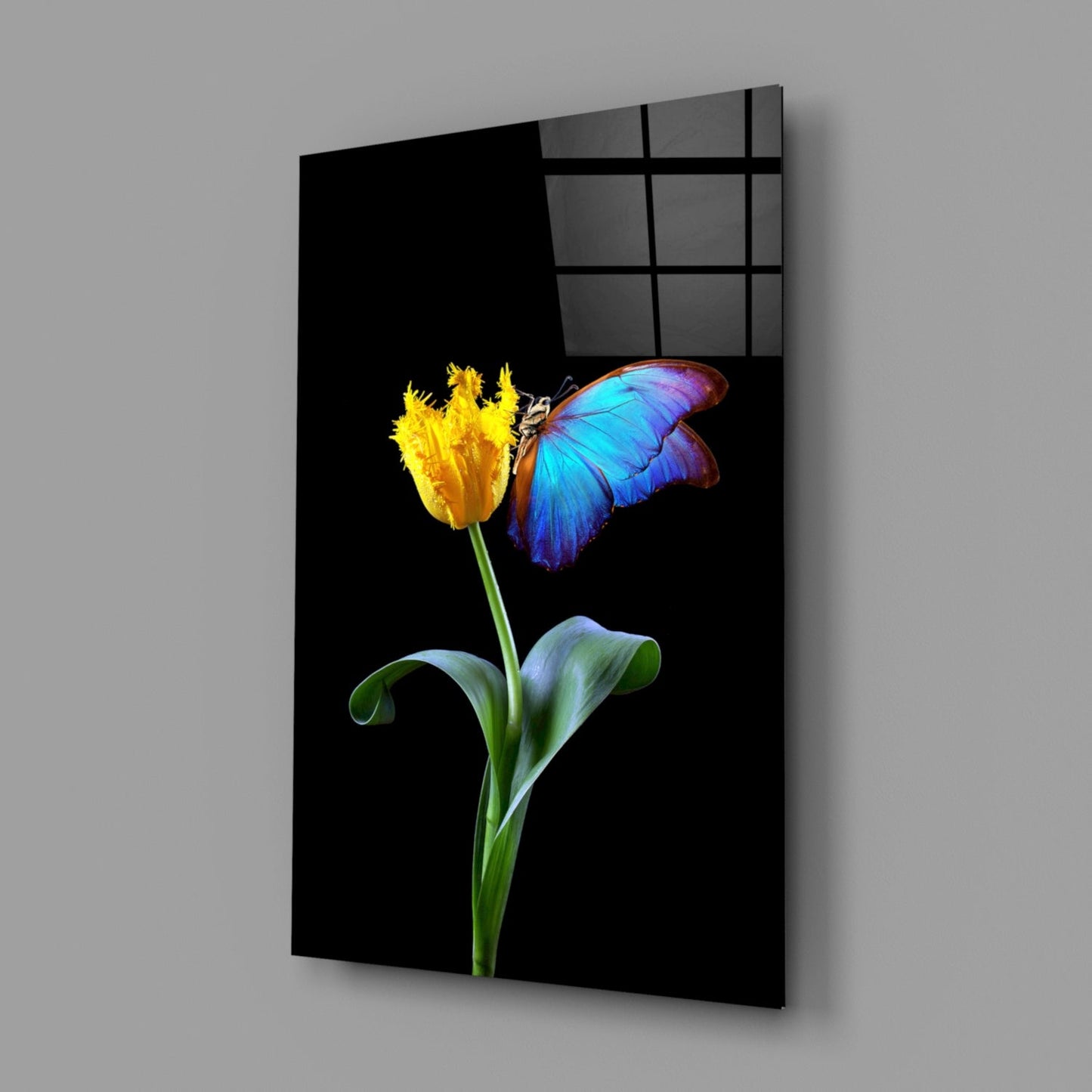 Blue Morpho Tulip Glass Wall Art
