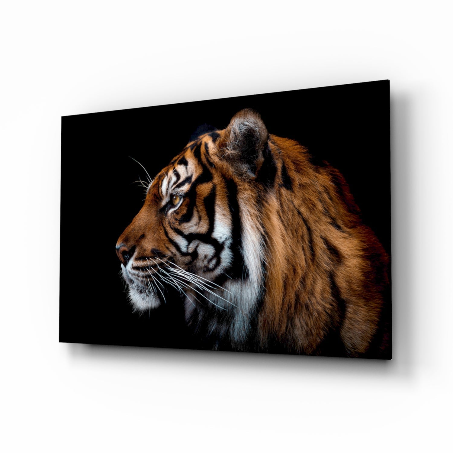 Bengal tiger portrait glass wall art in amber and onyx