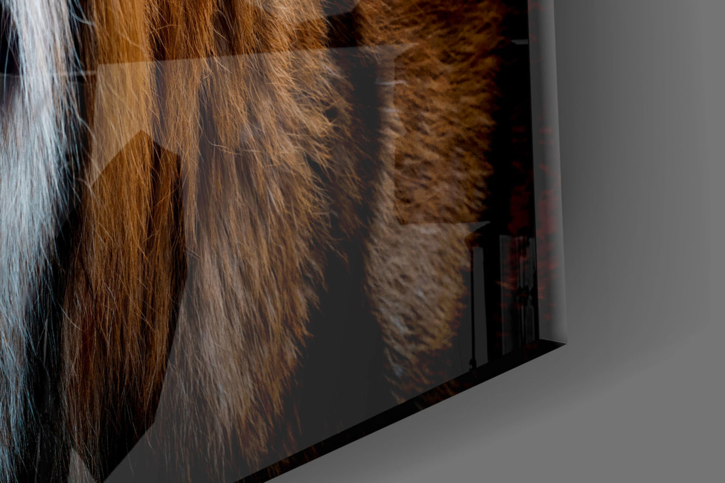 Tiger Glass Wall Art Bengal Portrait Print