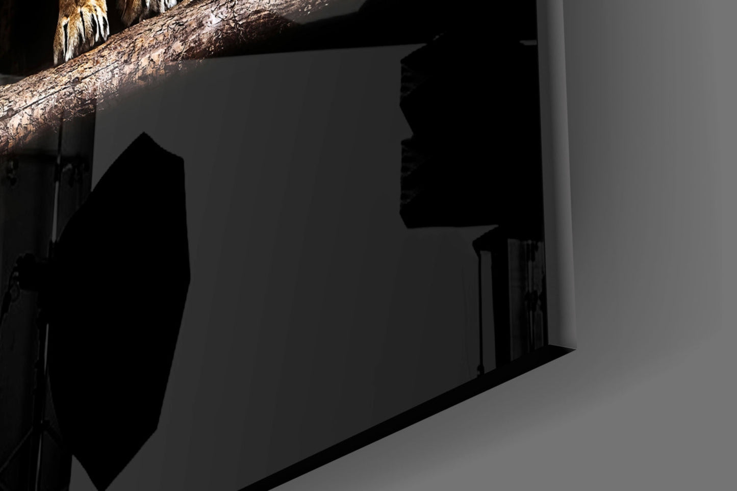 Lion Family Glass Wall Art - Wildlife