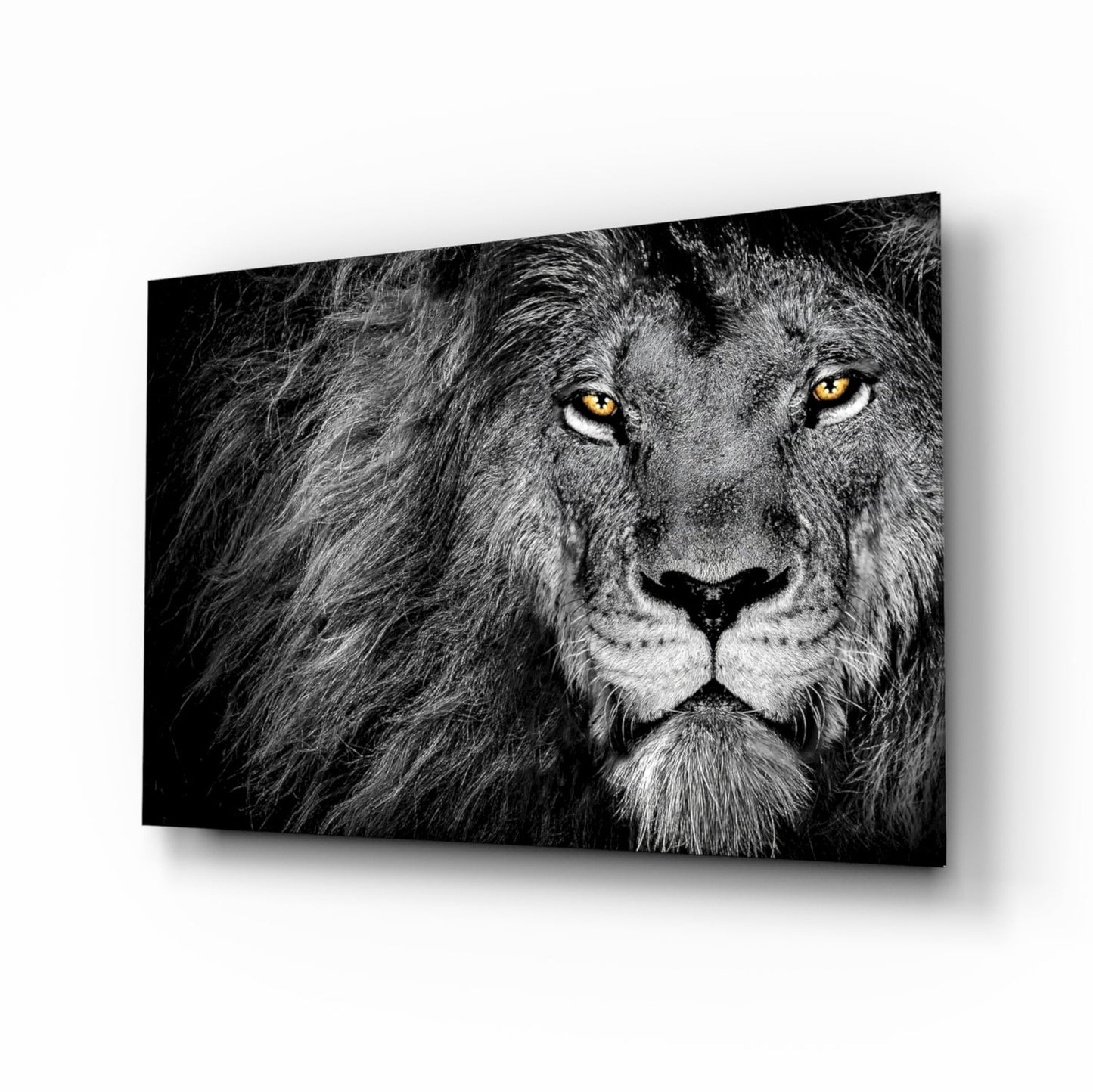 Black and white lion glass wall art amber eyes monochrome tempered glass