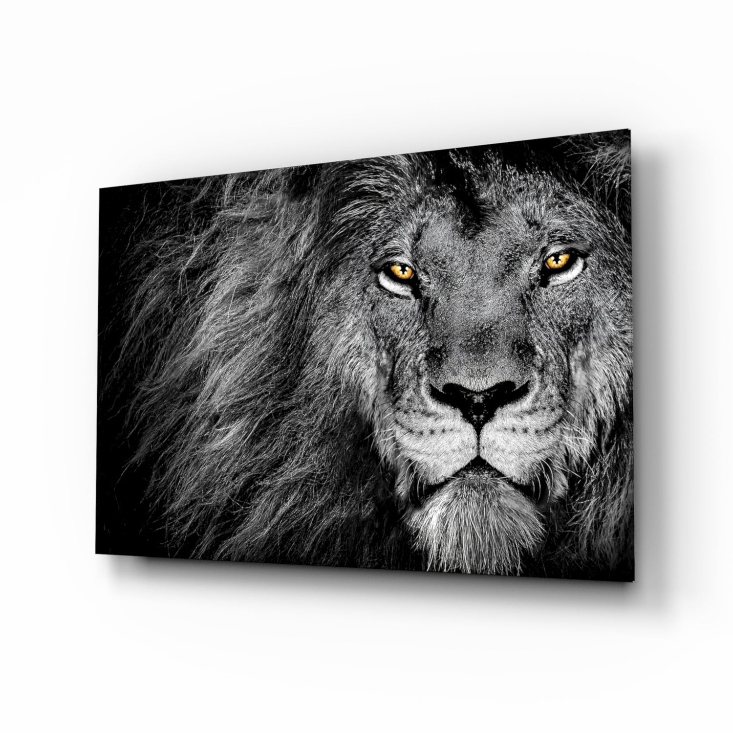 Black and white lion glass wall art amber eyes monochrome tempered glass