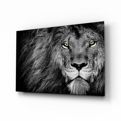 Black and white lion glass wall art amber eyes monochrome tempered glass