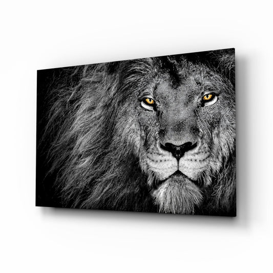 Black and white lion glass wall art amber eyes monochrome tempered glass