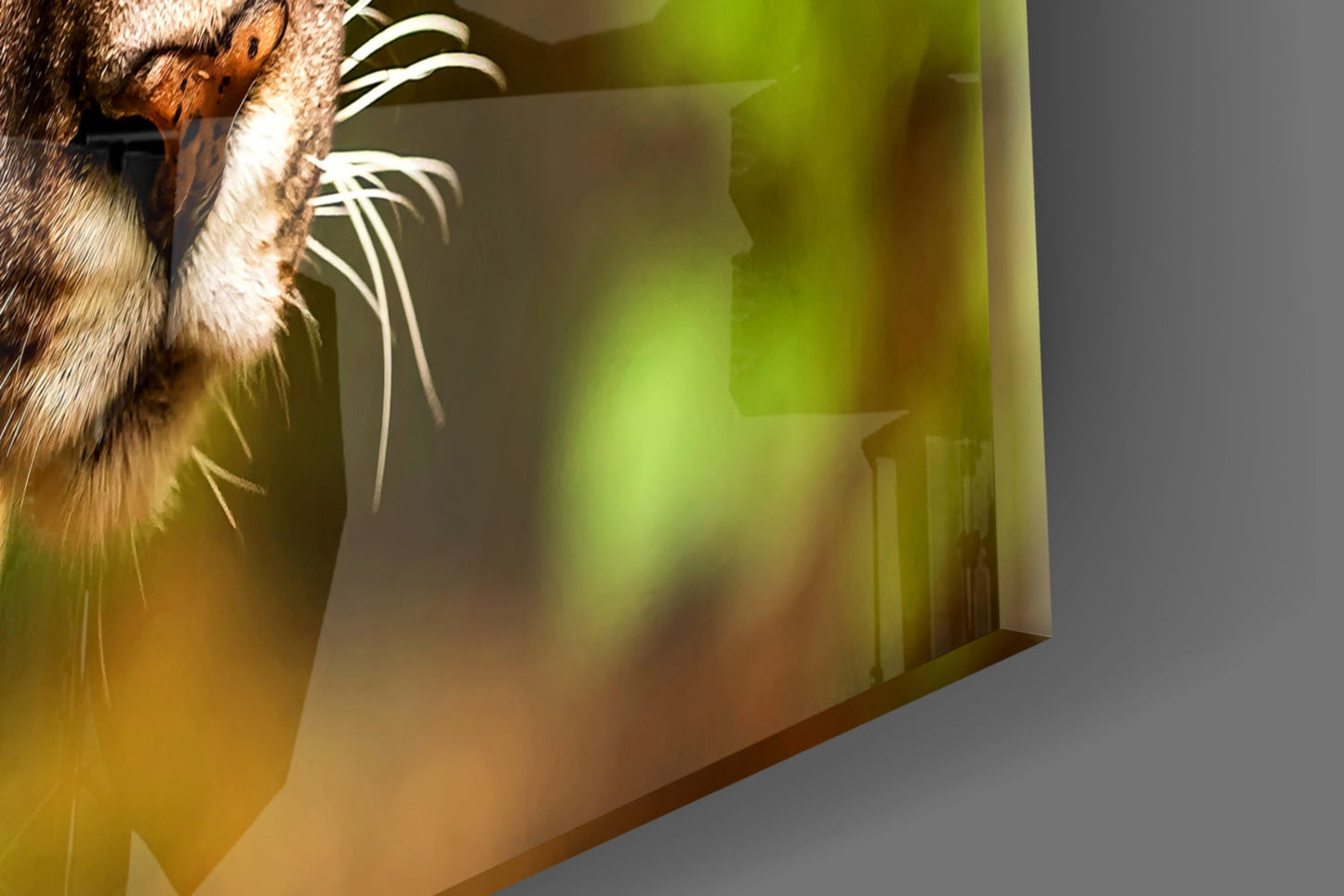Puma Glass Wall Art - Wildlife