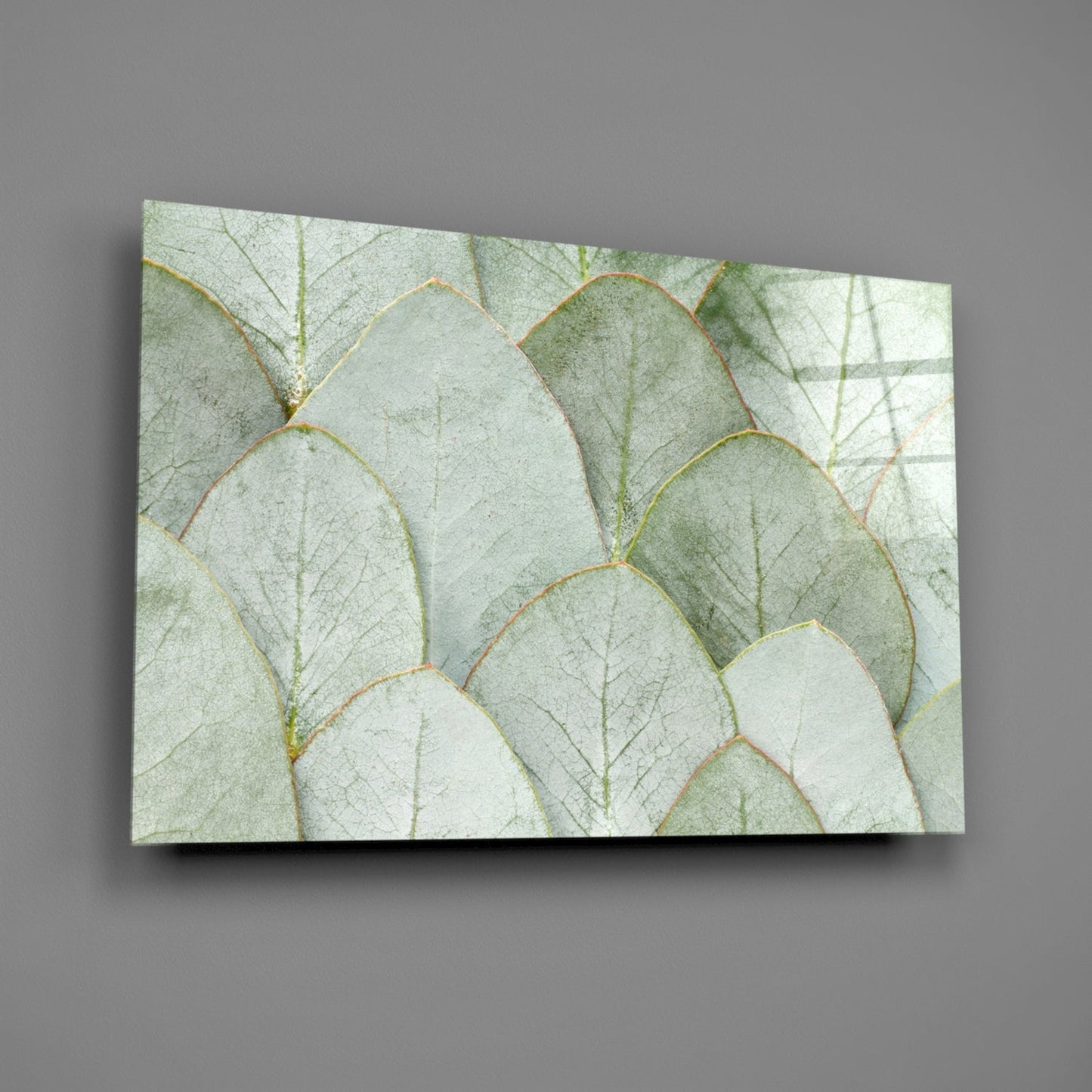 Eucalyptus Leaves Glass Wall Art