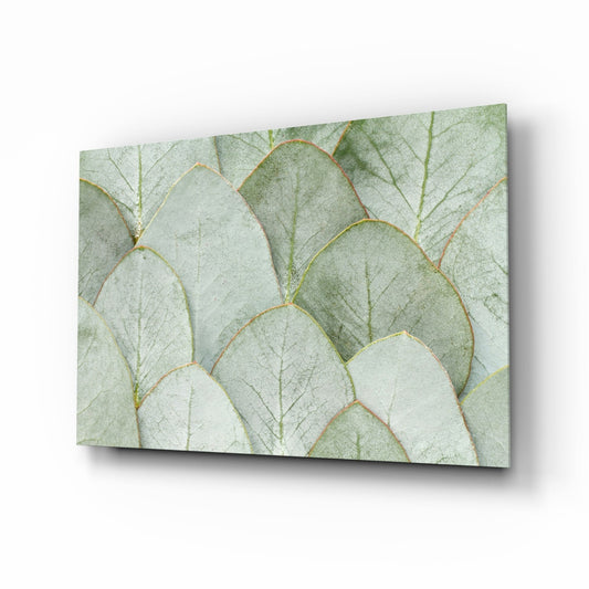 Eucalyptus leaves glass wall art in sage green