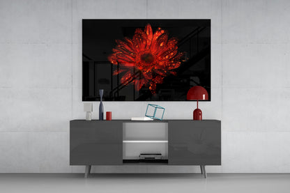Red Gerbera Glass Wall Art