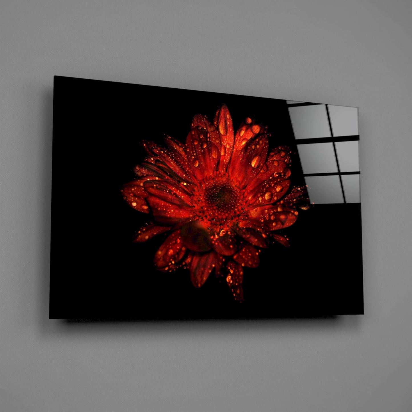 Red Gerbera Glass Wall Art