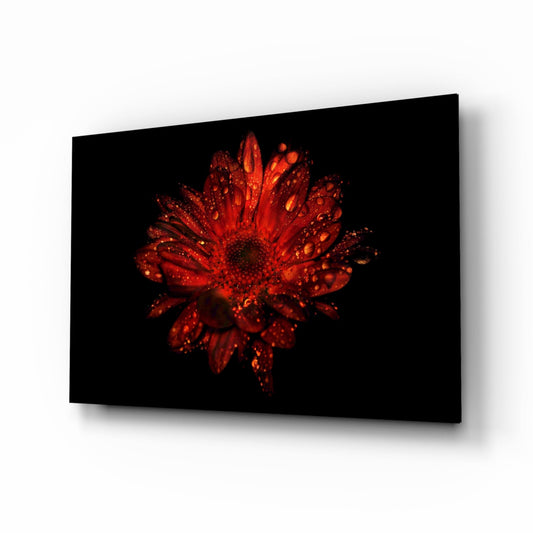 Red gerbera macro glass wall art