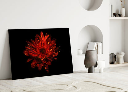 Red Gerbera Glass Wall Art
