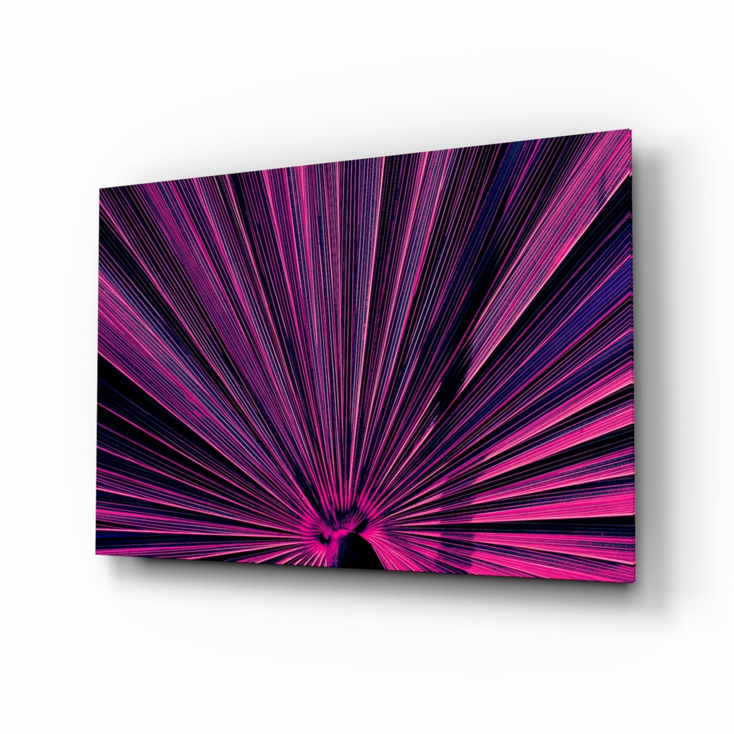Magenta Fan Palm glass wall art botanical silhouette