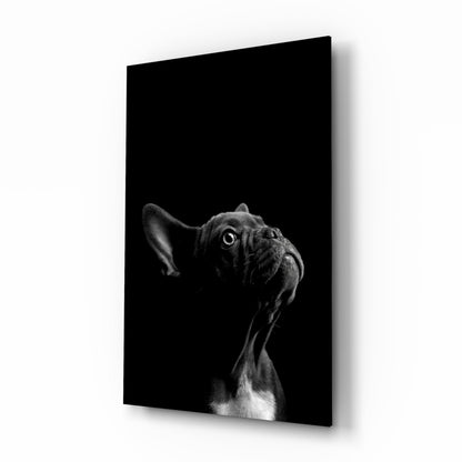 Bulldog glass wall art black-and-white portrait