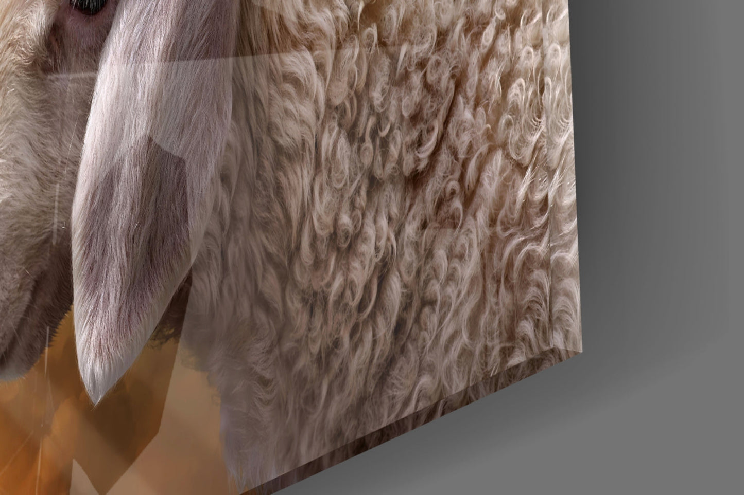 God's Hand and the Sheep Glass Wall Art