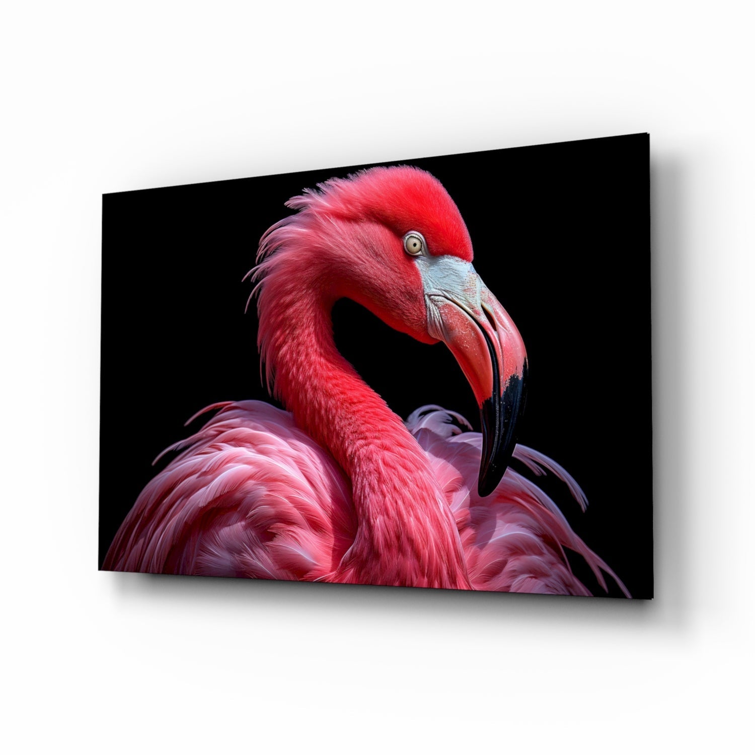 Flamingo glass wall art print
