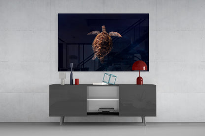 Hawksbill Turtle Glass Wall Art