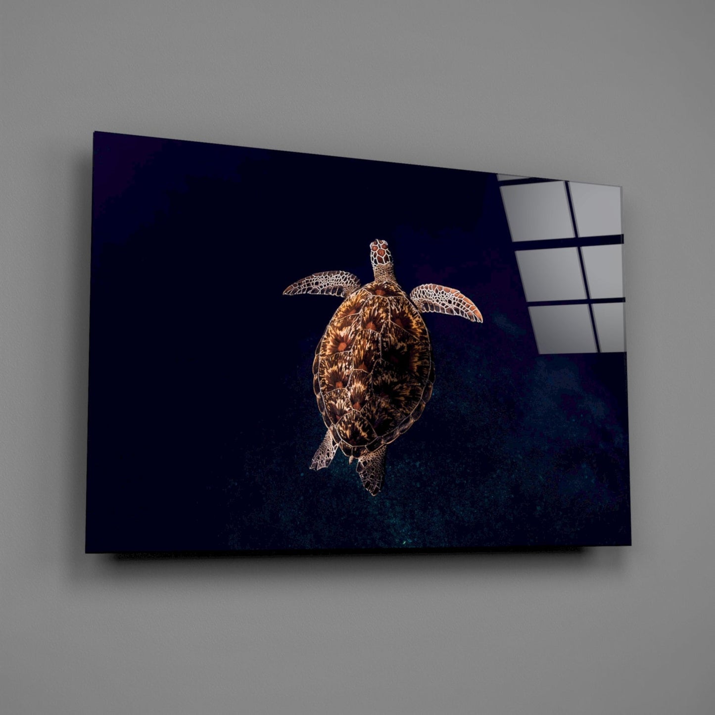 Hawksbill Turtle Glass Wall Art
