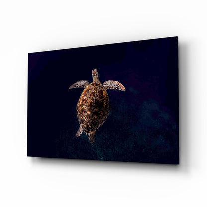 Hawksbill Turtle glass wall art ocean scene