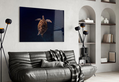 Hawksbill Turtle Glass Wall Art