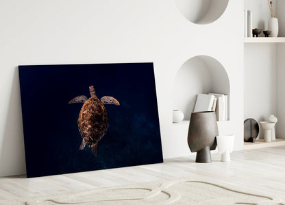 Hawksbill Turtle Glass Wall Art