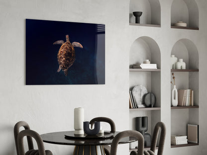 Hawksbill Turtle Glass Wall Art