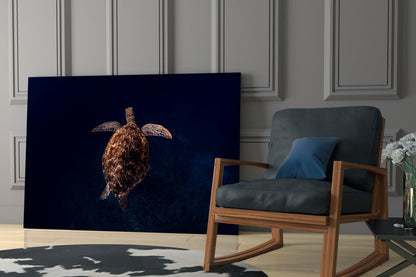 Hawksbill Turtle Glass Wall Art