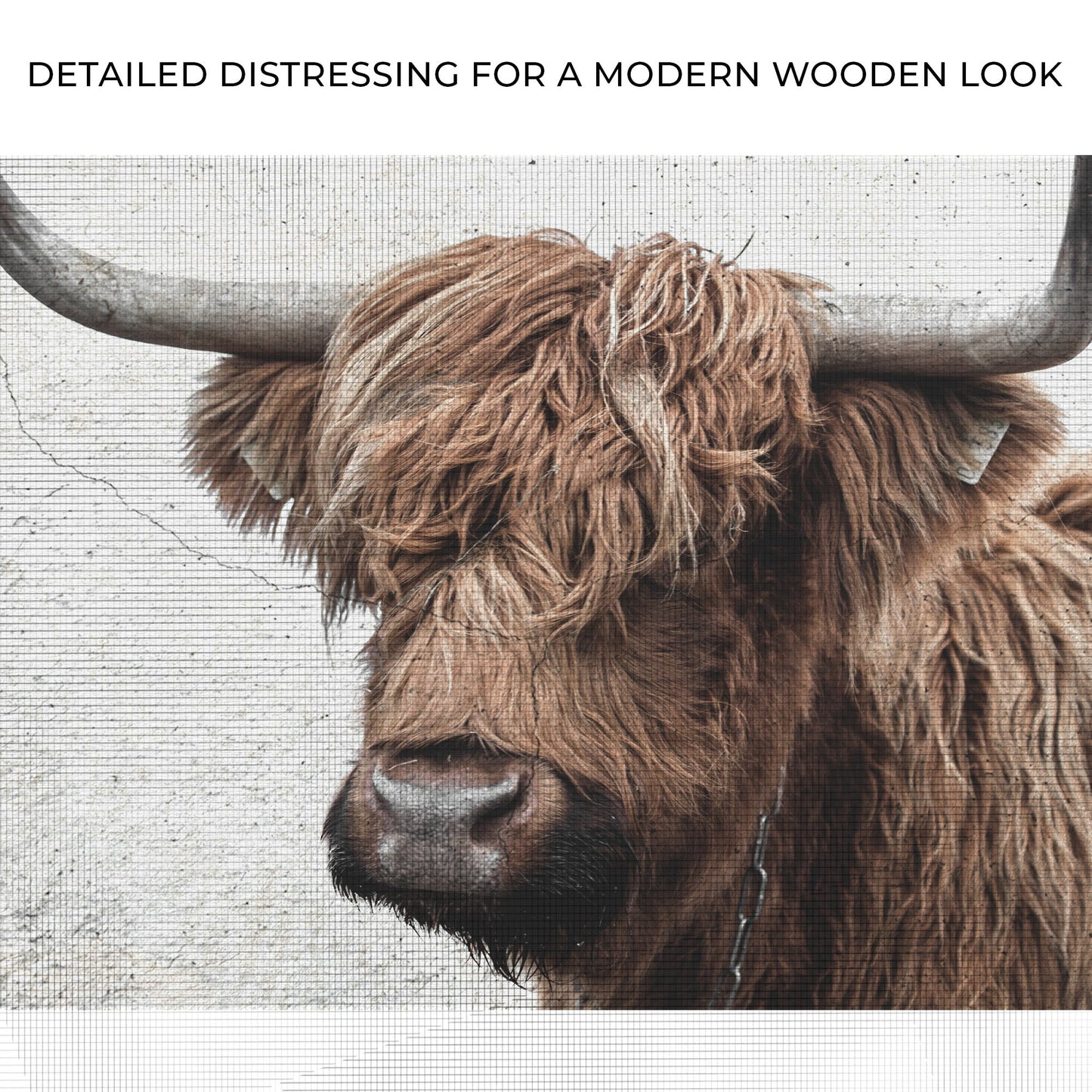 Highland Cow Rustic Canvas Wall Art
