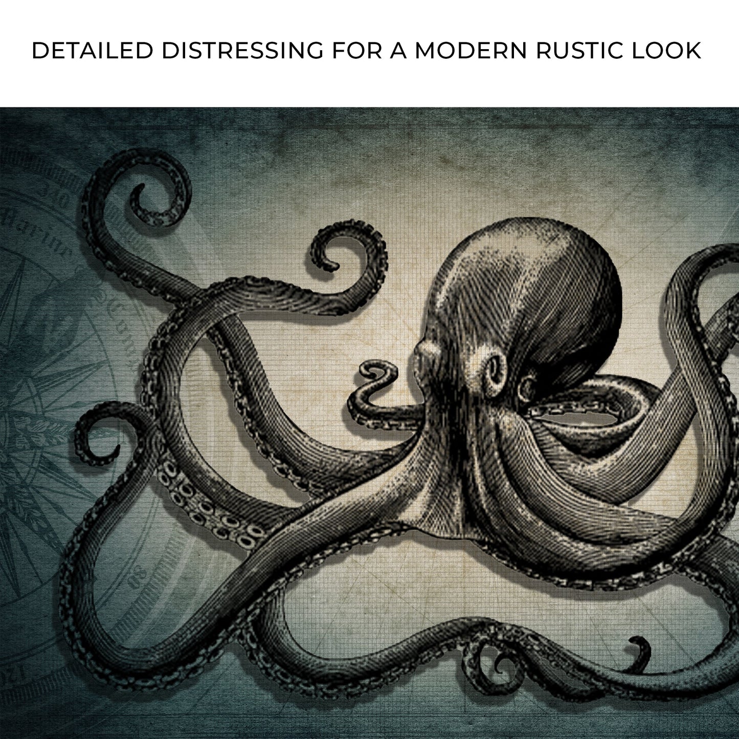 Octopus Coastal Canvas Wall Art - Ocean Animal Print