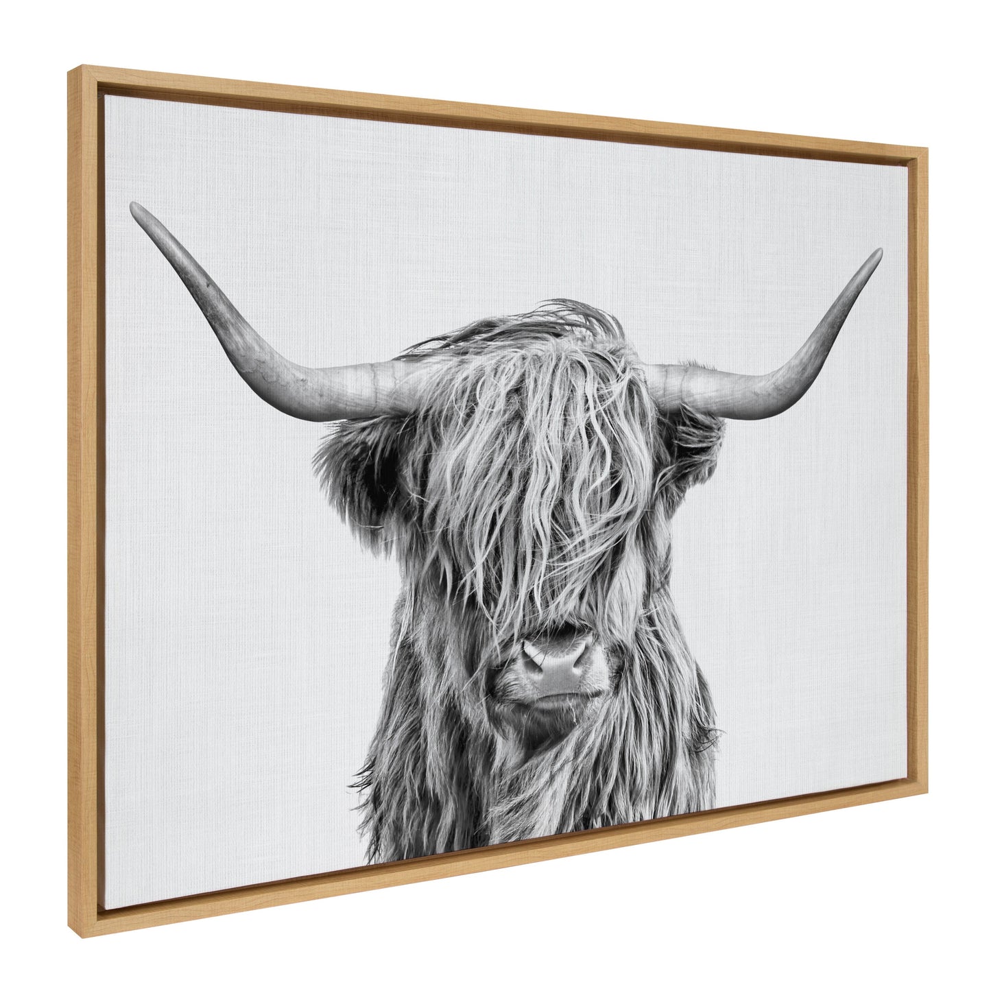 Highland Cow Framed Canvas Wall Art
